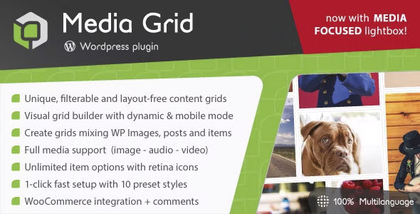 Media Grid - Wordpress Responsive Portfolio