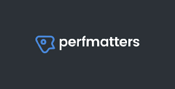 Perfmatters - Lightweight Performance Plugin