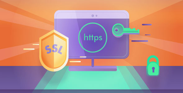 Really Simple SSL Pro