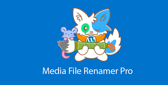 Media File Renamer Pro