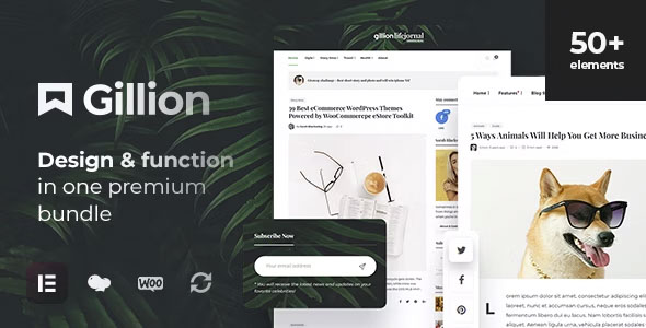 Gillion - Multi-Concept Blog/Magazine & Shop WordPress Theme