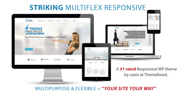 Striking - Themeforest MultiFlex & Ecommerce Theme